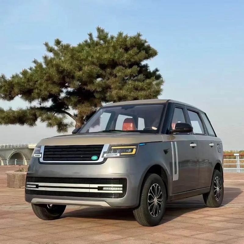 抖音同款suv电动车