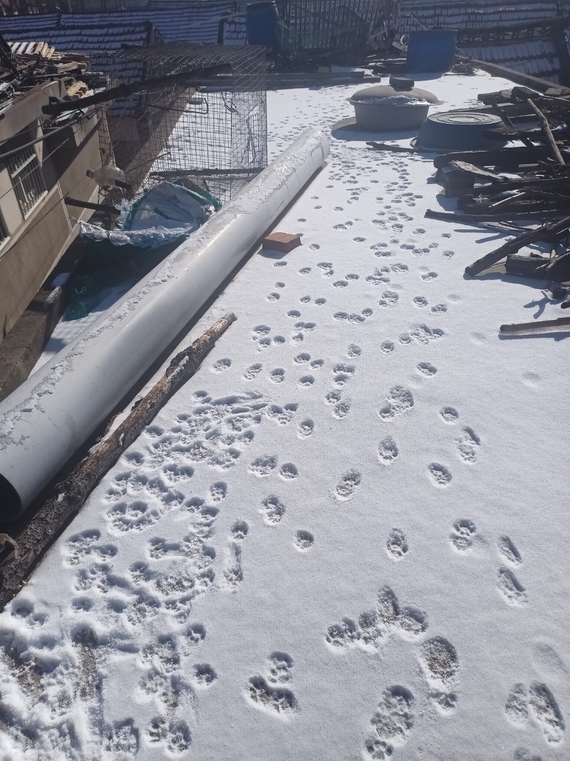 抖音上印脚印的是什么