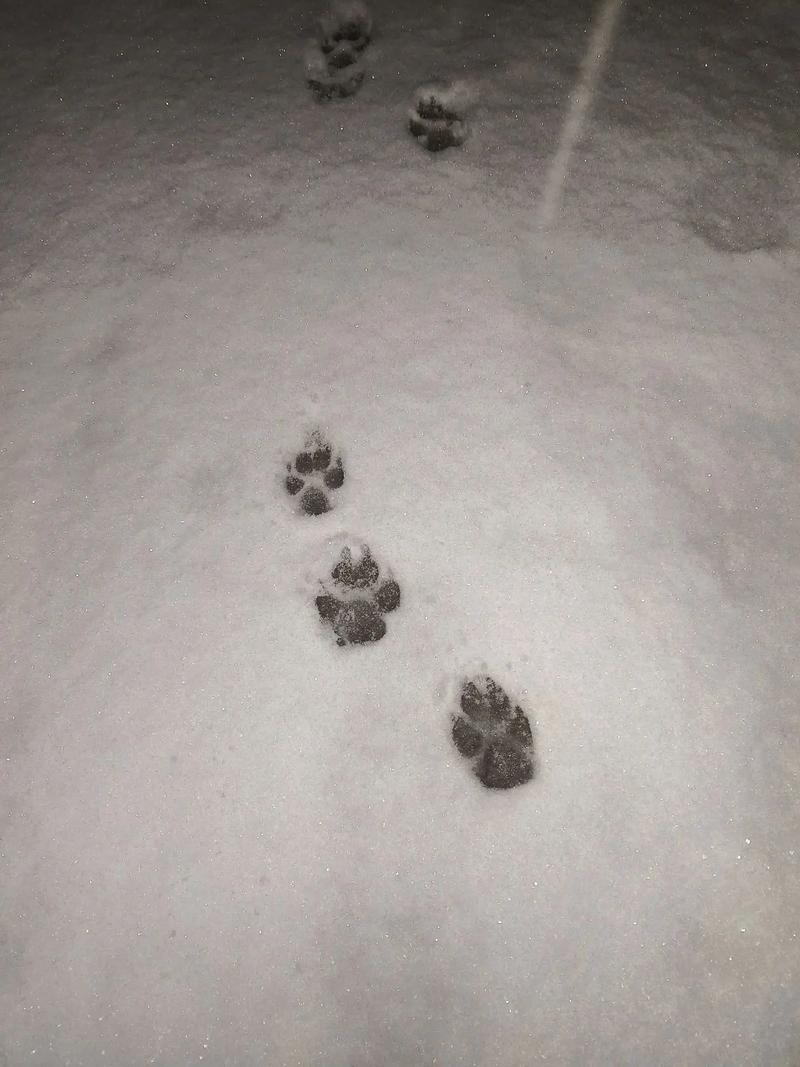 抖音上印脚印的是什么