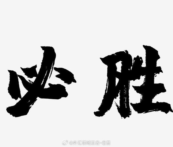 这场战斗必将获胜快手