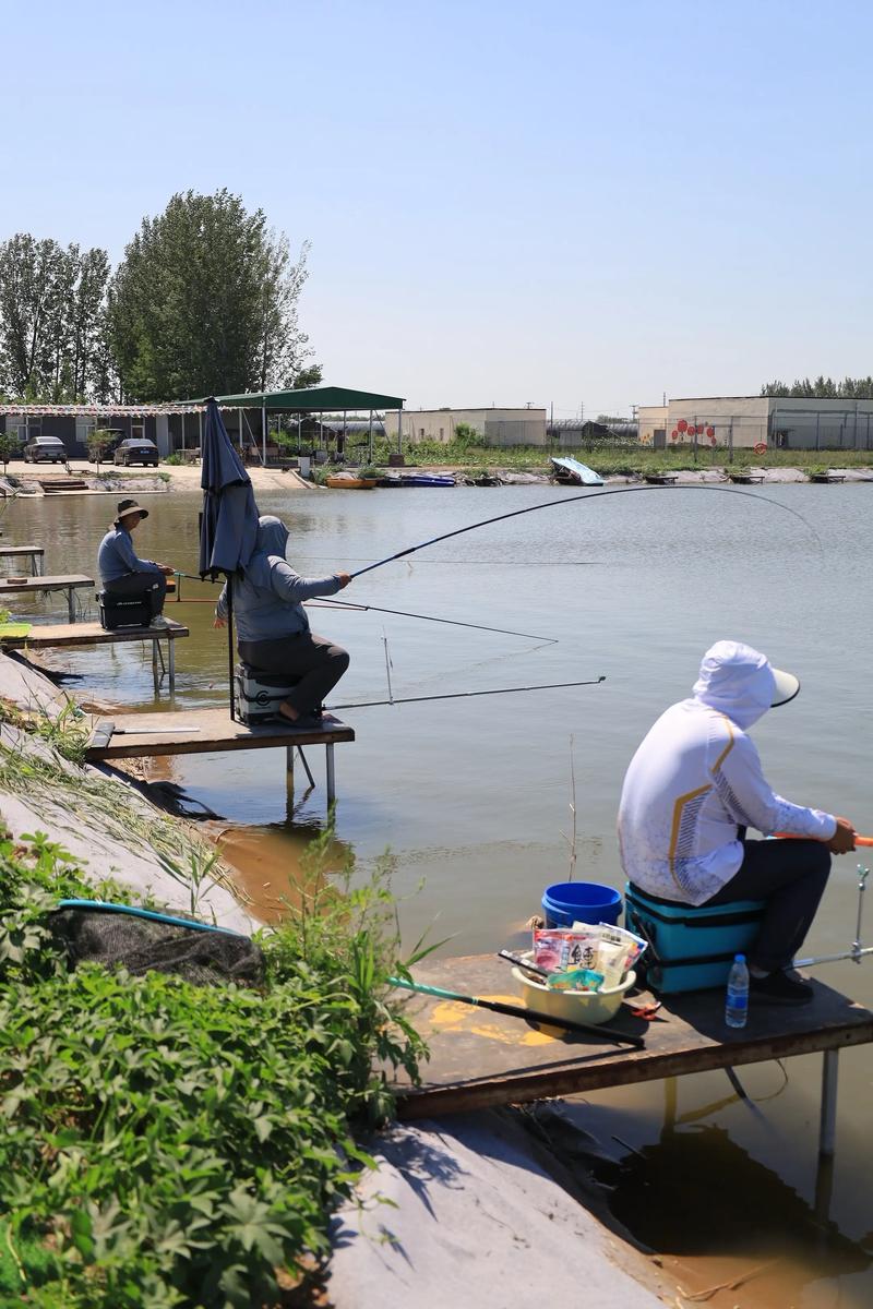 垂钓频道在线直播观看