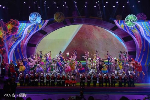 阳泉科教频道直播回放