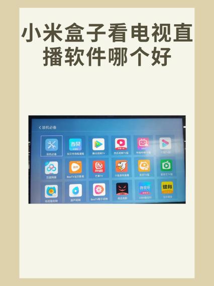 什么电视直播软件不卡