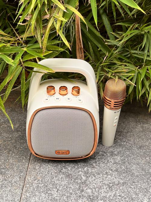 快手户外唱歌音响图片