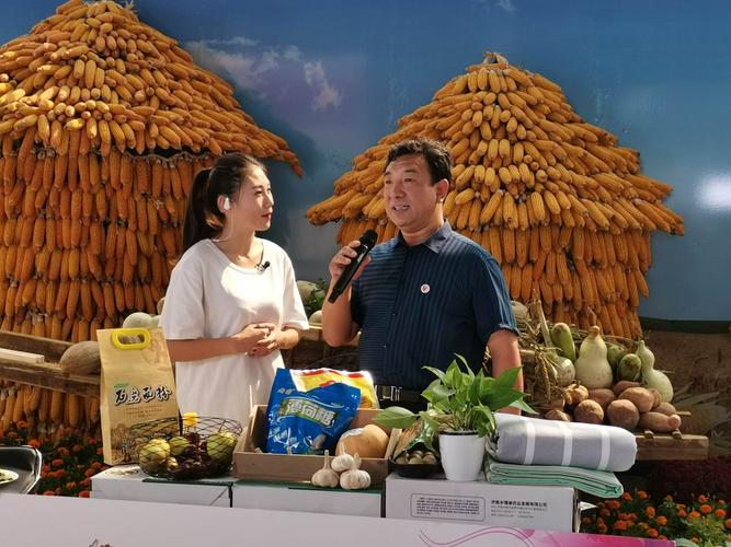 天鹅购物直播在线直播