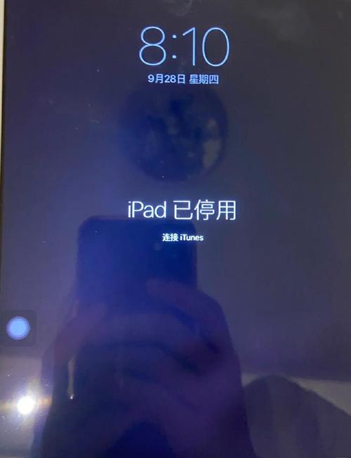 iPad不能下载快手