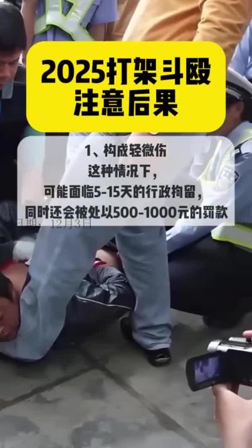 2025太和快手打架