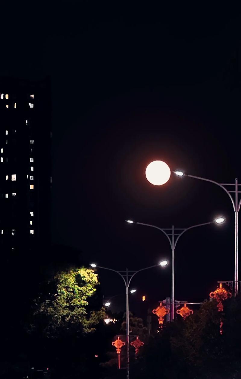 手机后面贴的圆的抖音