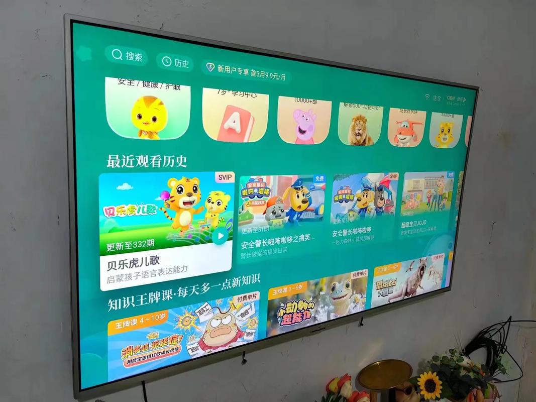 乐视电视可以看直播吗