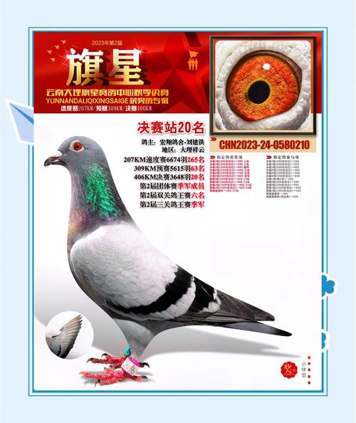 云飞赛事直播各地公棚