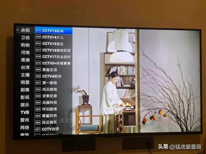 小米智能电视直播软件