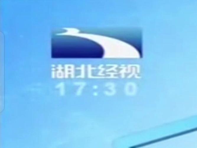 湖北电视生活频道直播