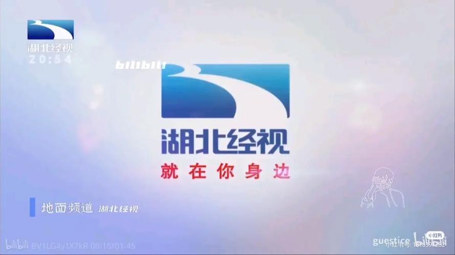 湖北电视生活频道直播