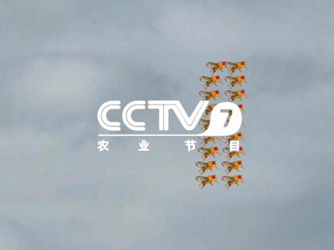 农林卫视在线直播观看