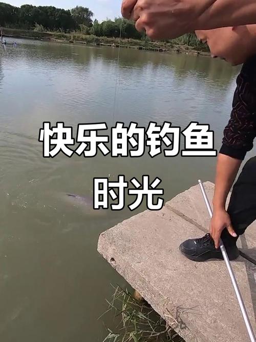 快乐垂钓直播手机观看
