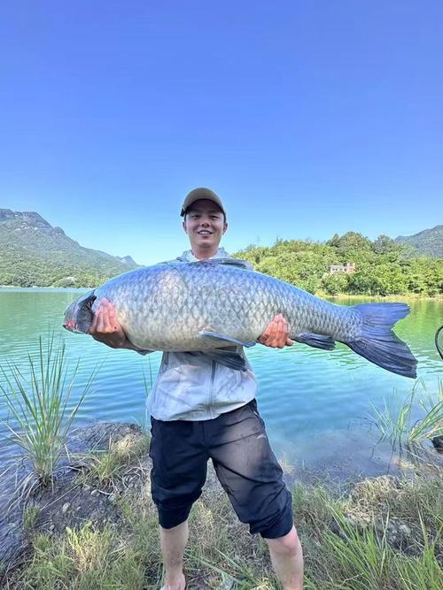 快乐垂钓直播手机观看