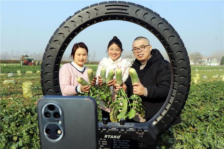 山东农科频道在线直播