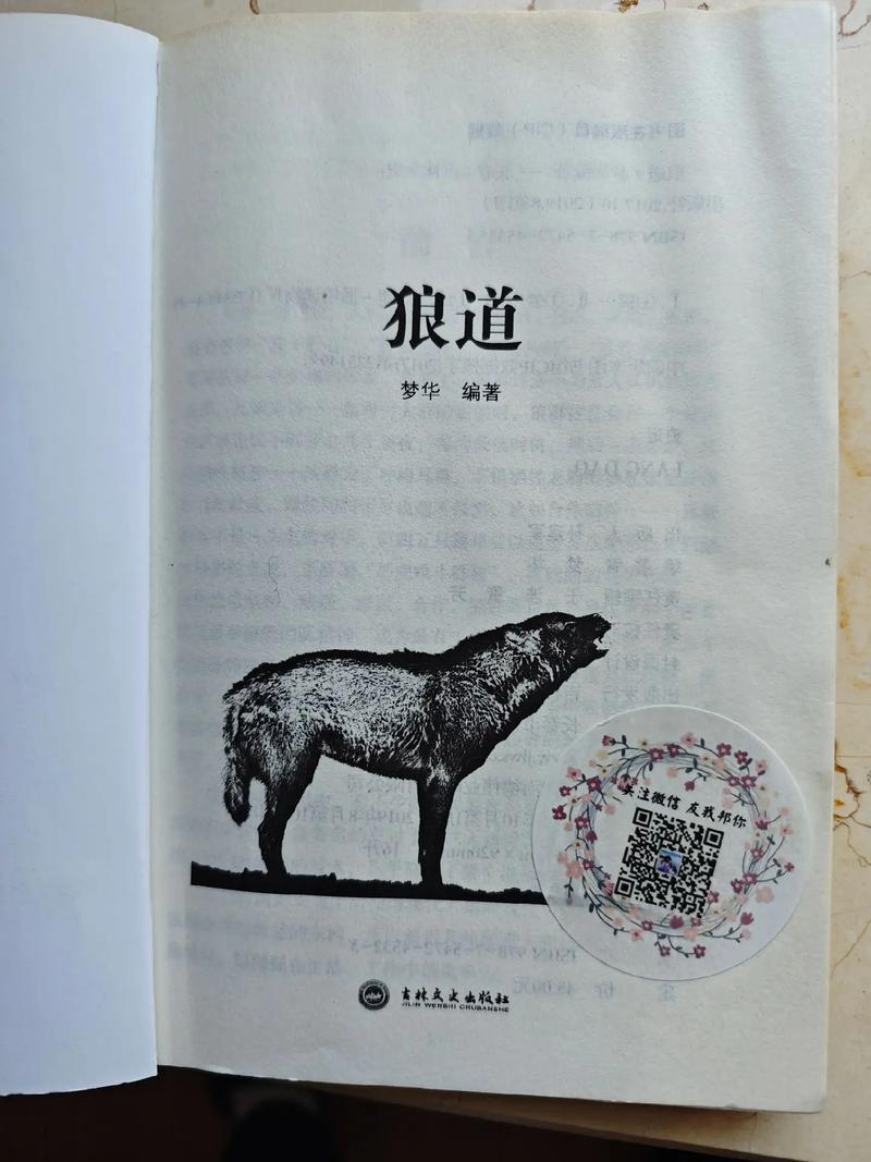 抖音上的狼道作者是谁