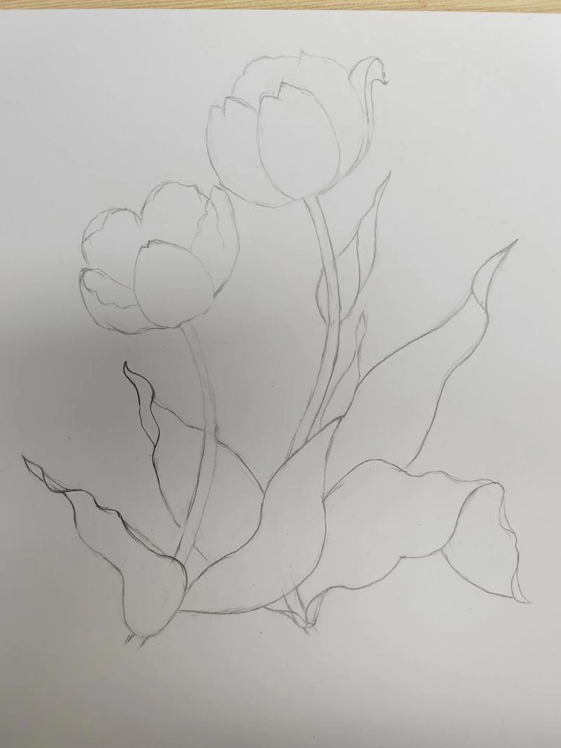 抖音彩铅画用什么铅笔