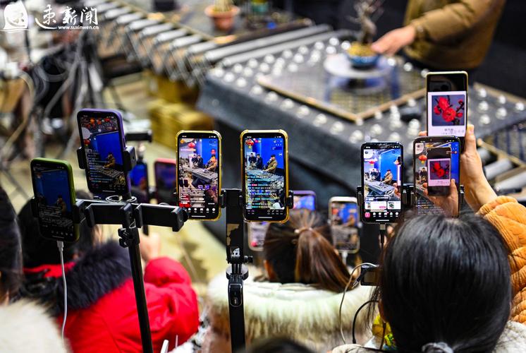 看直播的都是什么群体