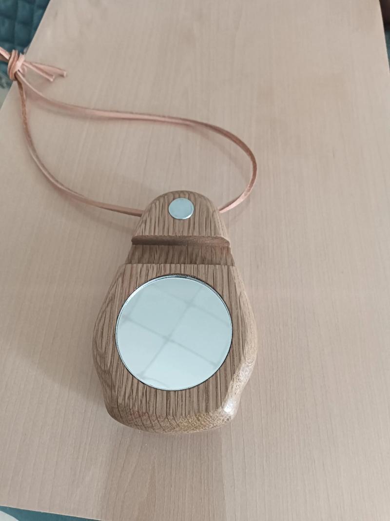 抖音里出现过的随身镜