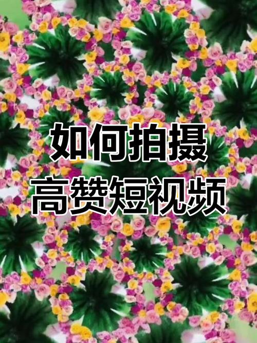 抖音点赞最多的是那条