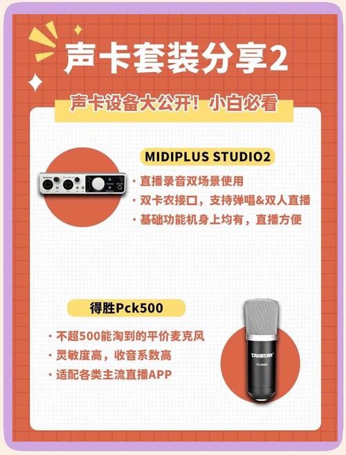 快手用的麦克风多少钱