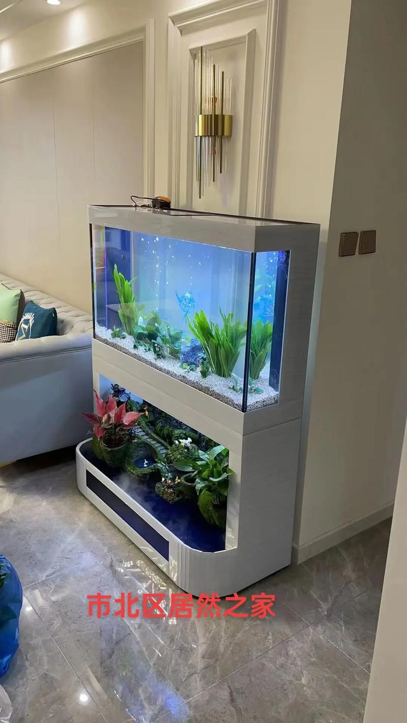 抖音上的客厅装的鱼缸