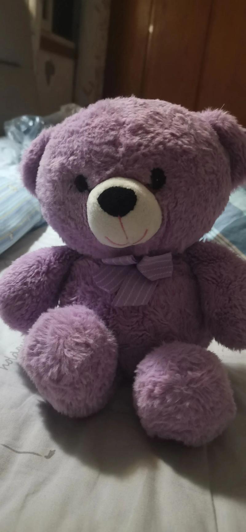 抖音最火的布偶熊图片