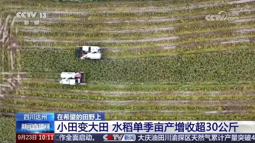 达州新闻综合频道直播