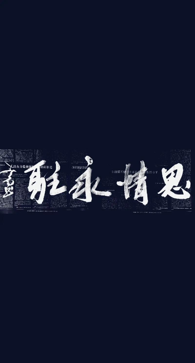 十年兴败谁知晓 快手