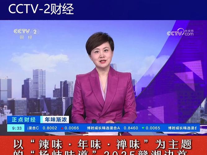 中央2台财经频道直播