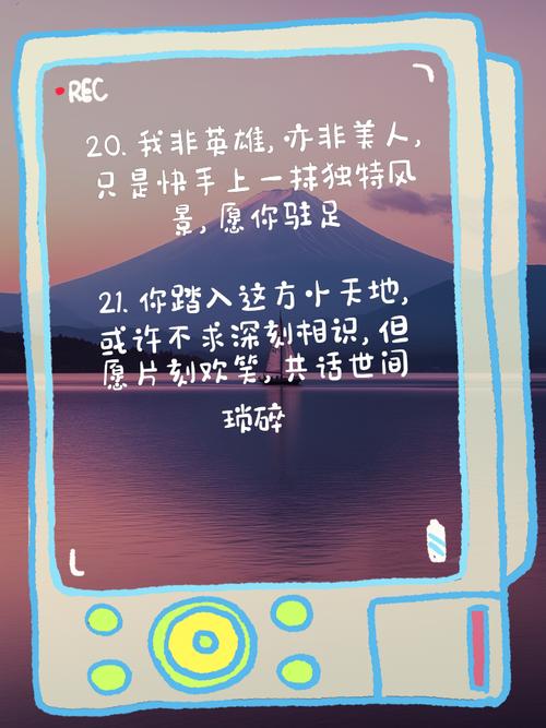 快手简介怎么写小清新