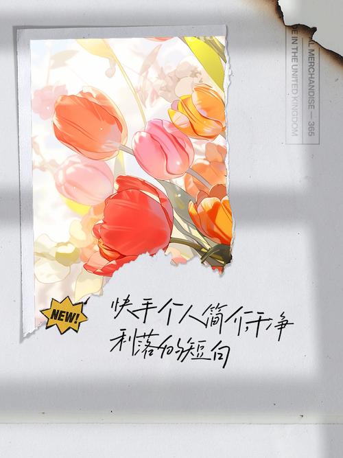 快手简介怎么写小清新