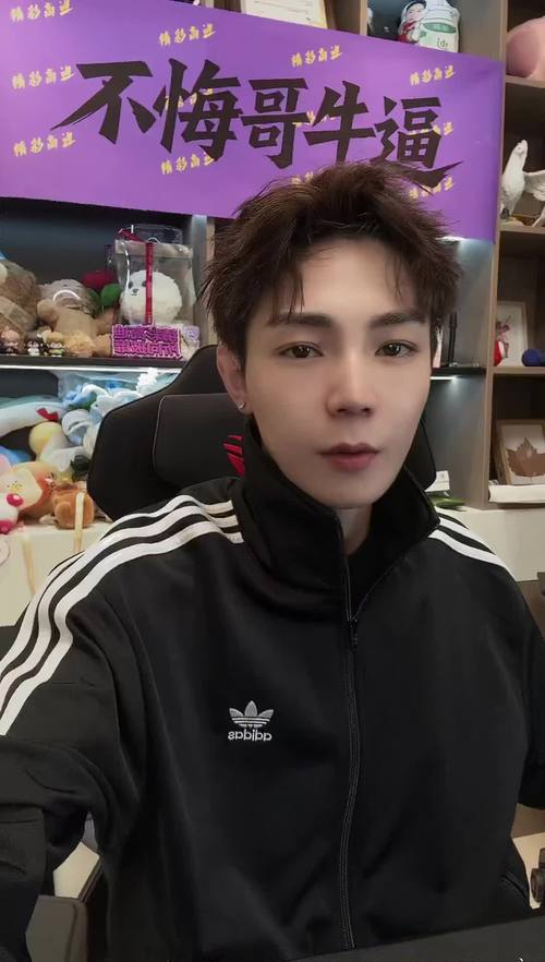 快手高迪用的什么软件