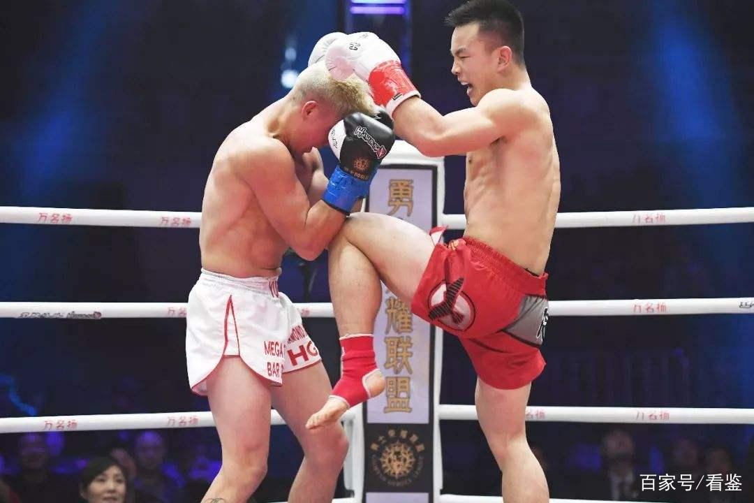 河南电视台直播武林风