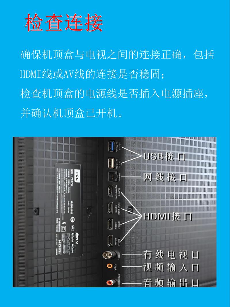 哪个盒子能看电视直播