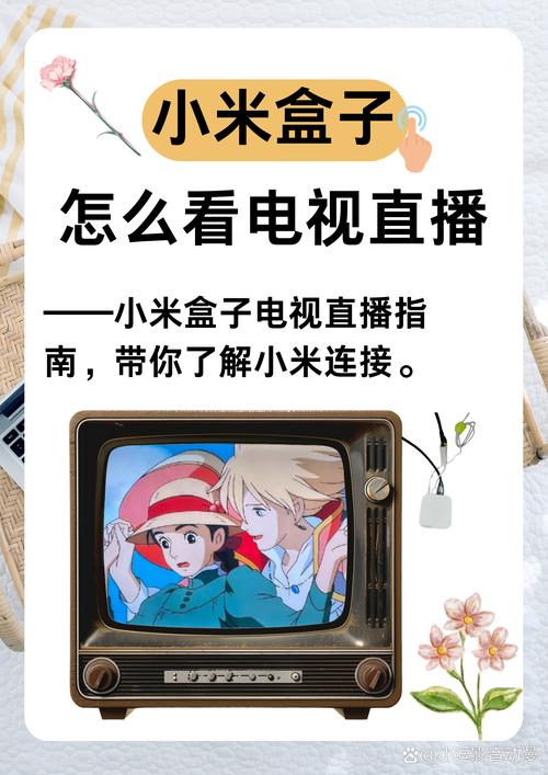 哪个盒子能看电视直播