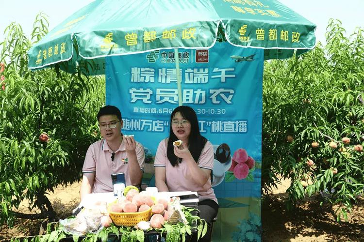 河北农民非常帮助直播