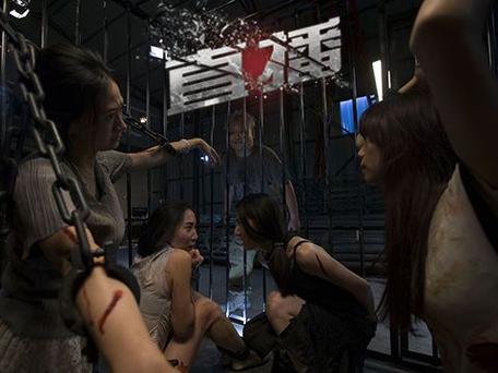 香港电视直播在线观看