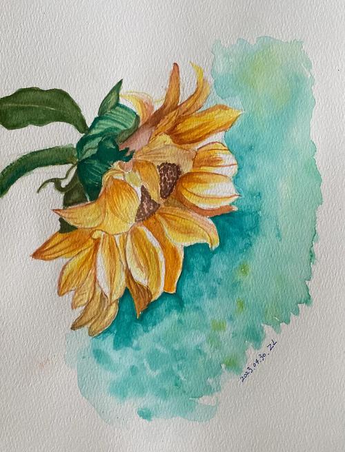 抖音颜料画向日葵视频