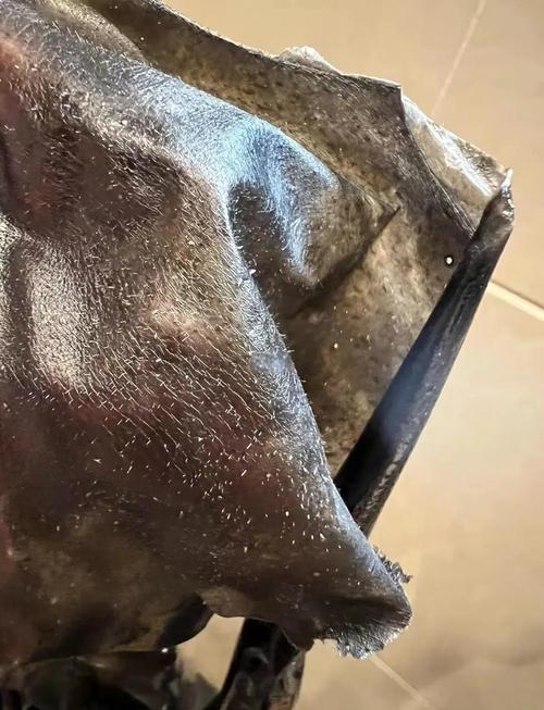 抖音上撕拉面膜是什么