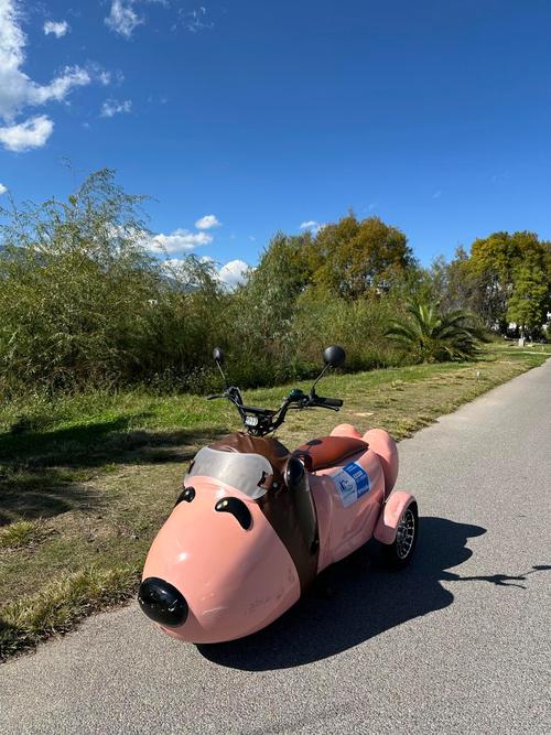 抖音同款史努比摩托车