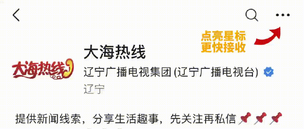 直播海南电话热线电话