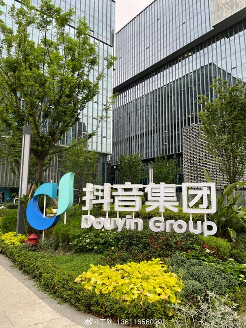 北京抖音营销策划公司