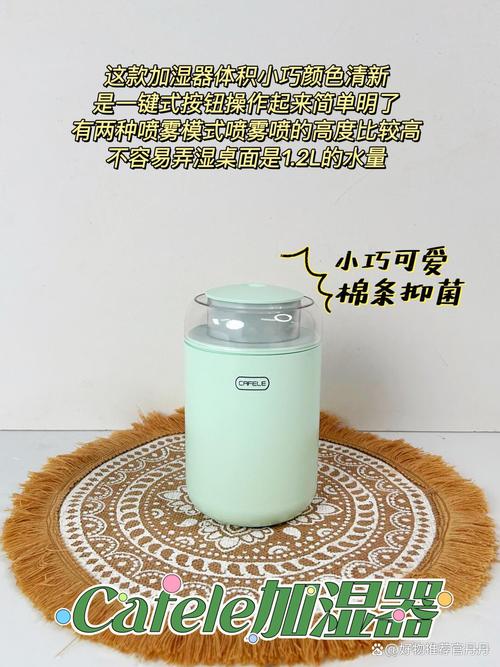 抖音同款加湿器怎么用