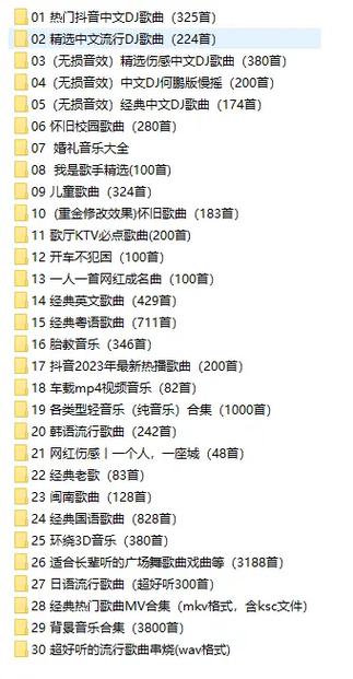 抖音快手车载音乐下载