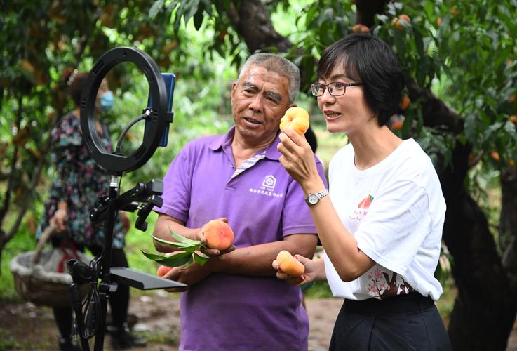 cctv农业频道直播