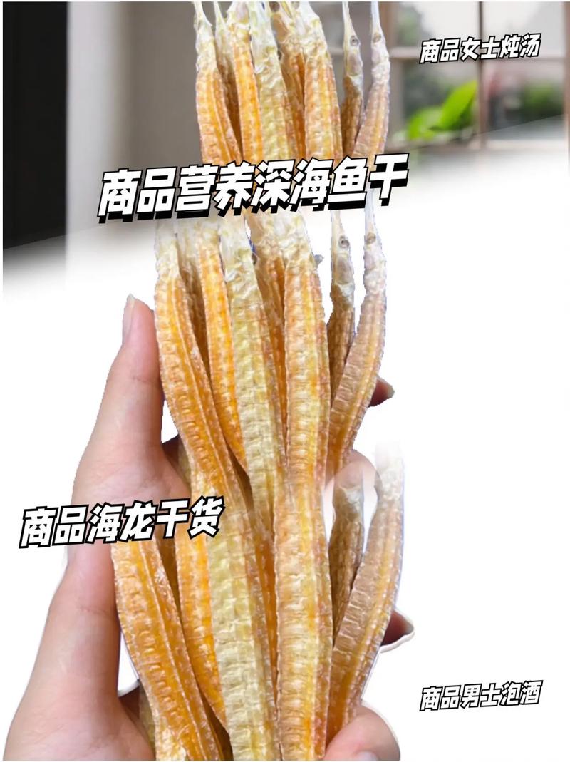 抖音小海龙成长的样子