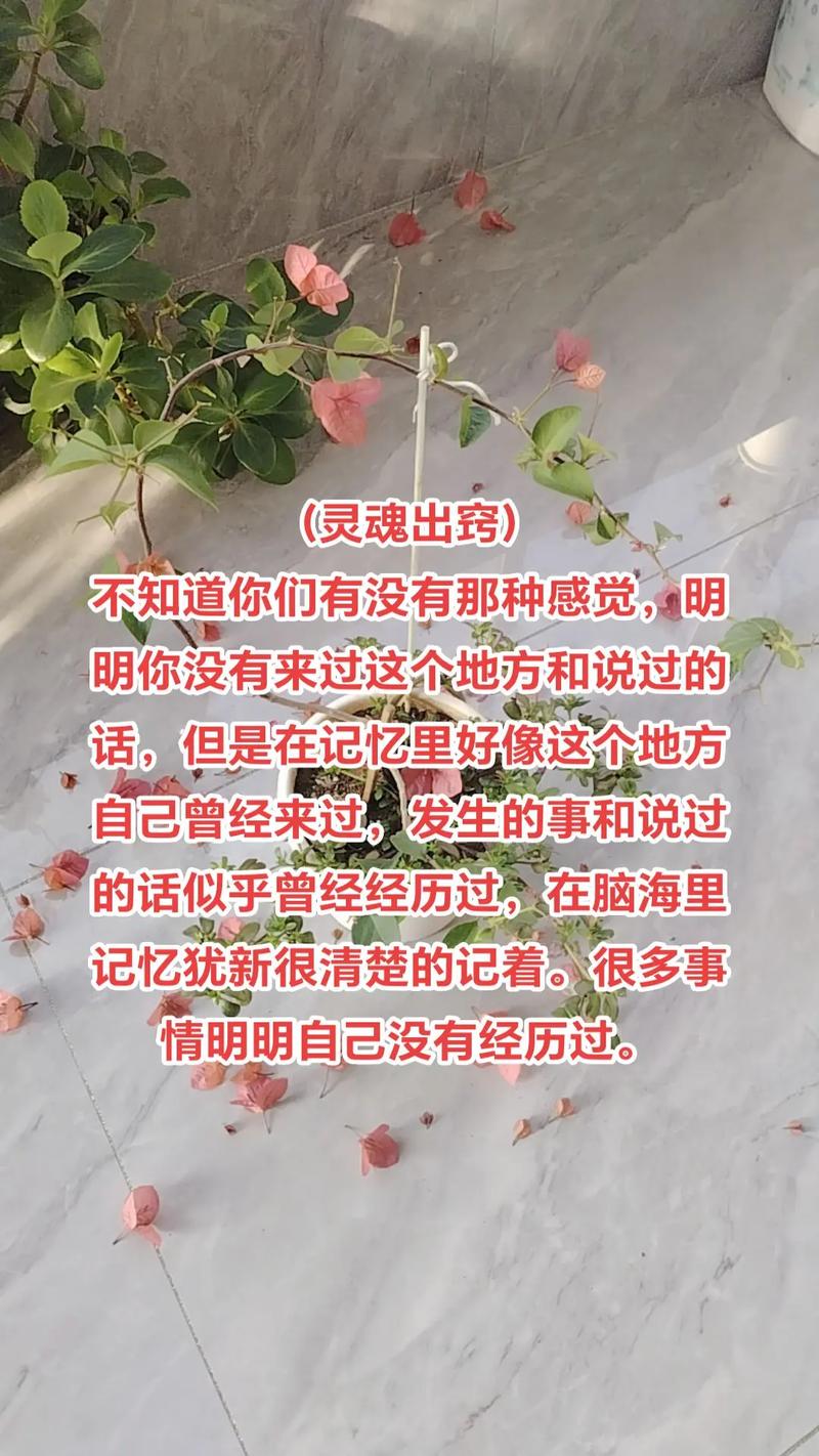 抖音灵魂出窍怎么制作